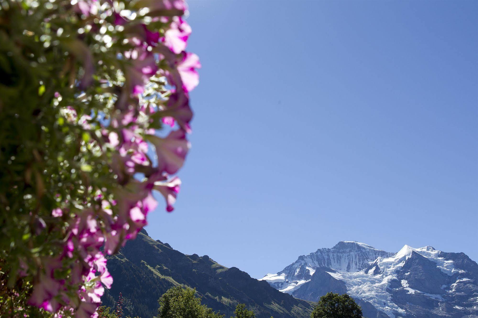 Chalet Miravalle Villa Wengen Kültér fotó